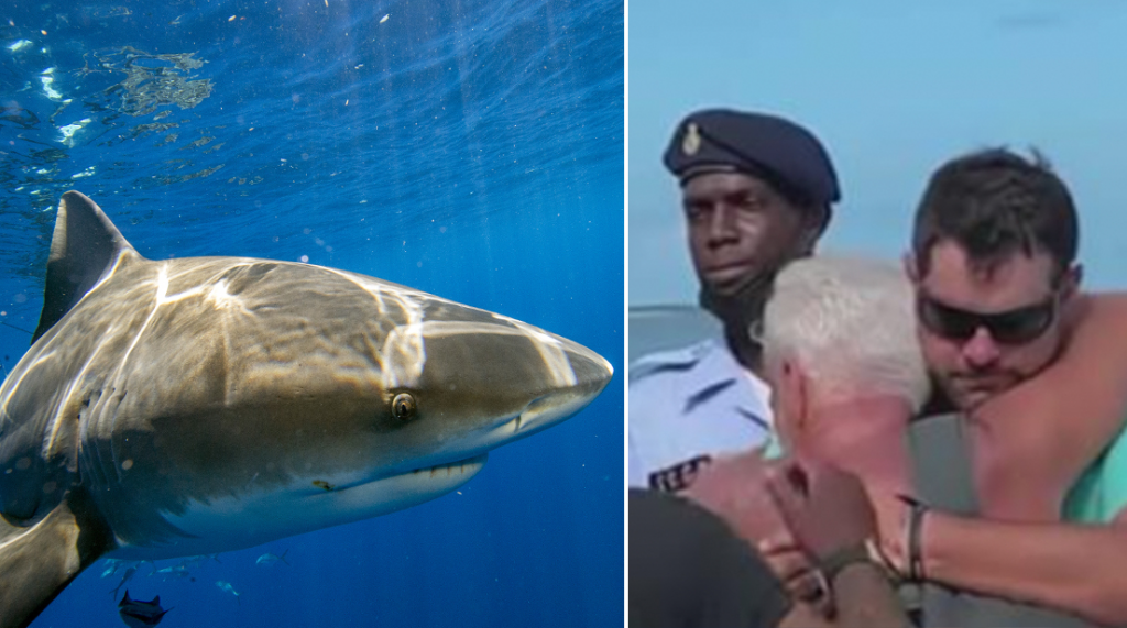 Elderly woman died in a horrific shark attack while snorkeling with her ...