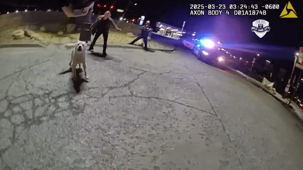Salt Lake City Police Shoot and Kill Dog During Trespasser Response